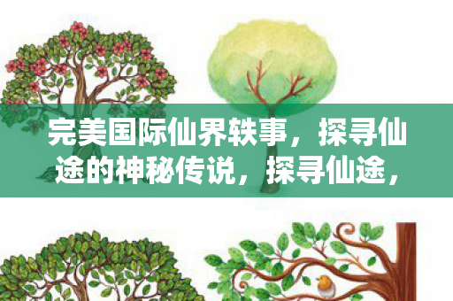 完美国际仙界轶事，探寻仙途的神秘传说，探寻仙途，完美国际仙界轶事与神秘传说
