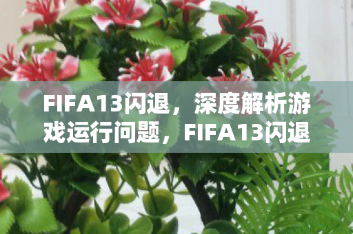 FIFA13闪退，深度解析游戏运行问题，FIFA13闪退，深度解析游戏运行问题及其解决方案