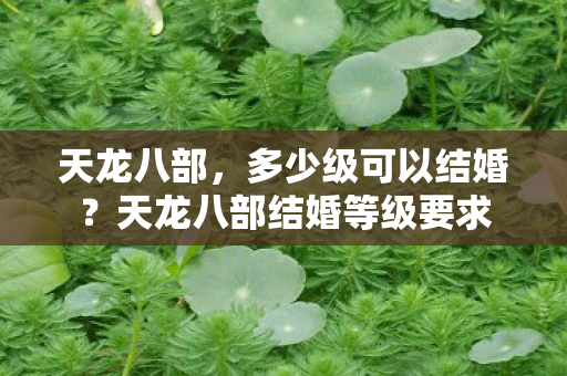 天龙八部，多少级可以结婚？天龙八部结婚等级要求
