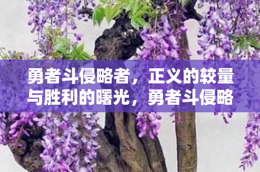 勇者斗侵略者，正义的较量与胜利的曙光，勇者斗侵略者，正义较量与胜利曙光