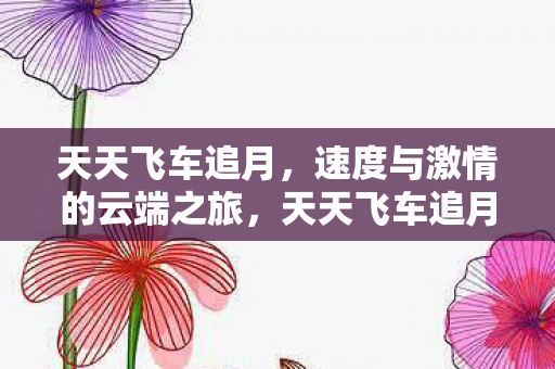 天天飞车追月，速度与激情的云端之旅，天天飞车追月，云端之旅的速度与激情