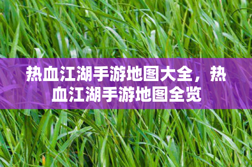 热血江湖手游地图大全，热血江湖手游地图全览
