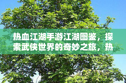 热血江湖手游江湖图鉴,探索武侠世界的奇妙之旅,热血江湖手游江湖图鉴,解锁武侠世界的奥秘之旅 热血江湖手游江湖图鉴,探索武侠世界的奇妙之旅,热血江湖手游江湖图鉴,解锁武侠世界的奥秘之旅