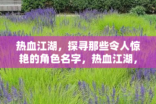 热血江湖，探寻那些令人惊艳的角色名字，热血江湖，惊艳角色名字大盘点