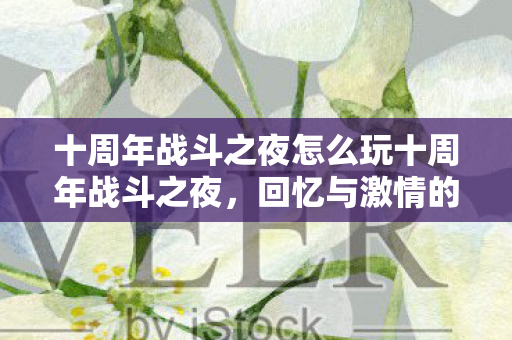 十周年战斗之夜怎么玩十周年战斗之夜，回忆与激情的盛宴，十周年战斗之夜，回忆与激情的盛宴