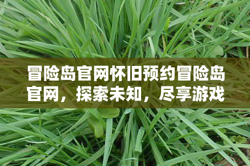 冒险岛官网怀旧预约冒险岛官网，探索未知，尽享游戏乐趣，冒险岛官网怀旧预约，探索未知，尽享游戏乐趣