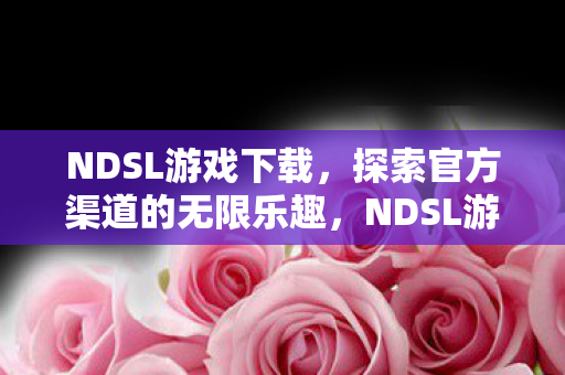 NDSL游戏下载，探索官方渠道的无限乐趣，NDSL游戏下载，探索官方渠道的无限乐趣