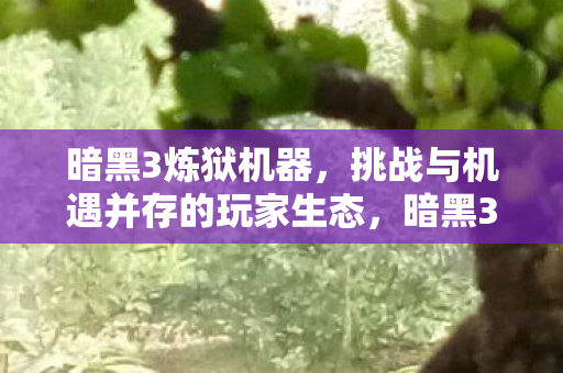 暗黑3炼狱机器，挑战与机遇并存的玩家生态，暗黑3炼狱机器，挑战与机遇并存的玩家生态