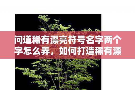 问道稀有漂亮符号名字两个字怎么弄图片