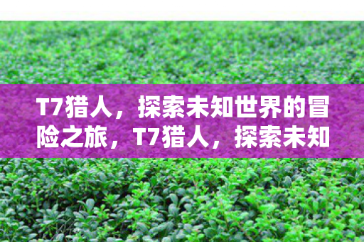 T7猎人，探索未知世界的冒险之旅，T7猎人，探索未知世界的冒险之旅