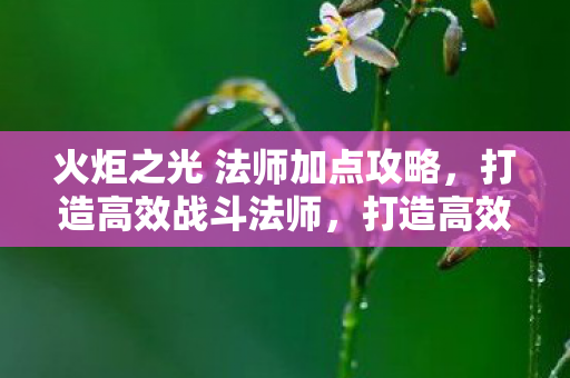 火炬之光 法师加点攻略，打造高效战斗法师，打造高效战斗法师，火炬之光法师加点攻略