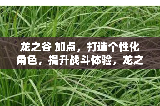 龙之谷 加点，打造个性化角色，提升战斗体验，龙之谷，个性化加点打造，提升战斗体验