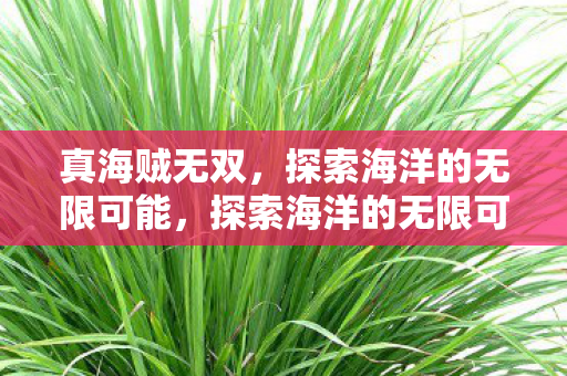 真海贼无双，探索海洋的无限可能，探索海洋的无限可能，真海贼无双