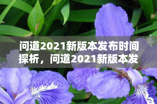 问道2021新版本发布时间探析，问道2021新版本发布时间揭秘