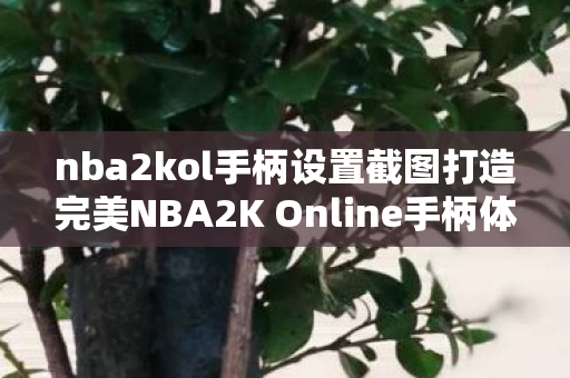 nba2kol手柄设置截图打造完美NBA2K Online手柄体验，专业设置指南，NBA2K Online手柄设置指南，打造完美游戏体验