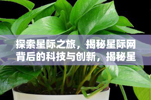 探索星际之旅,揭秘星际网背后的科技与创新,揭秘星际网,探索星际之旅的科技与创新 探索星际之旅,揭秘星际网背后的科技与创新,揭秘星际网,探索星际之旅的科技与创新