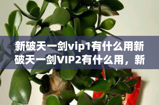 新破天一剑vip1有什么用新破天一剑VIP2有什么用，新破天一剑VIP等级特权解析，VIP1与VIP2的特权与用途