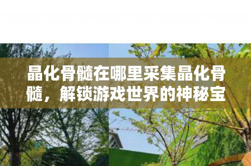晶化骨髓在哪里采集晶化骨髓，解锁游戏世界的神秘宝藏，解锁游戏世界的神秘宝藏，晶化骨髓采集指南