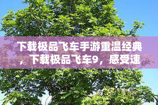 下载极品飞车手游重温经典，下载极品飞车9，感受速度与激情的碰撞，极品飞车9手游下载，重温经典，感受速度与激情的碰撞