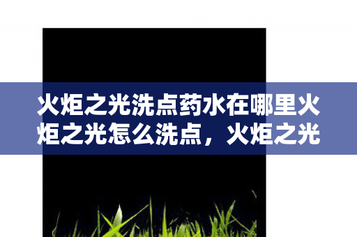火炬之光洗点药水在哪里火炬之光怎么洗点，火炬之光洗点药水获取及使用方法