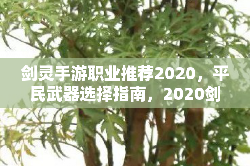 剑灵手游职业推荐2020,平民武器选择指南,2020剑灵手游职业推荐与平民武器选择指南 剑灵手游职业推荐2020,平民武器选择指南,2020剑灵手游职业推荐与平民武器选择指南