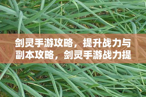 剑灵手游攻略，提升战力与副本攻略，剑灵手游战力提升与副本攻略全解析
