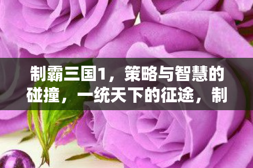 制霸三国1,策略与智慧的碰撞,一统天下的征途,制霸三国1,策略与智慧的较量,一统天下的征途 制霸三国1,策略与智慧的碰撞,一统天下的征途,制霸三国1,策略与智慧的较量,一统天下的征途