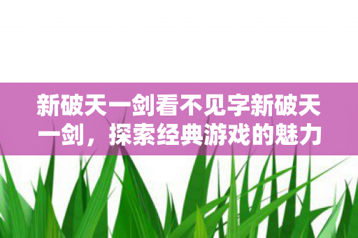 新破天一剑看不见字新破天一剑，探索经典游戏的魅力与传承，新破天一剑，探索经典游戏的魅力与传承