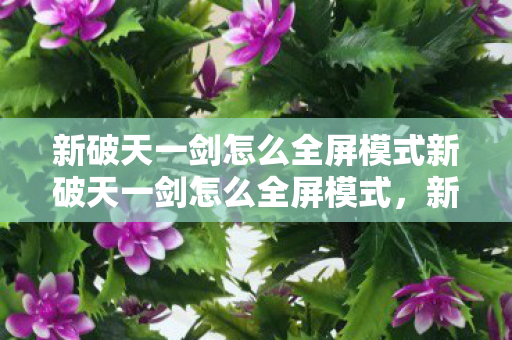 新破天一剑怎么全屏模式新破天一剑怎么全屏模式图片