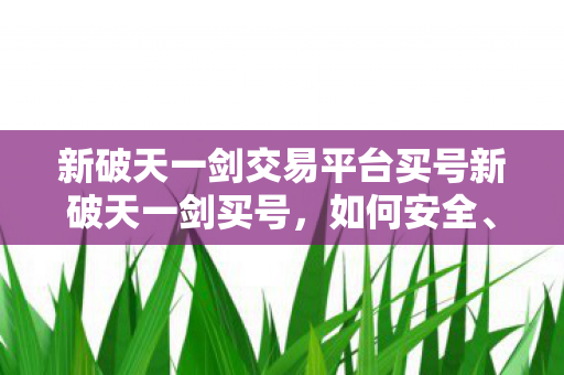 新破天一剑交易平台买号新破天一剑买号，如何安全、高效地获取心仪账号？新破天一剑交易平台，安全高效获取心仪账号的指南