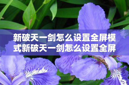 新破天一剑怎么设置全屏模式新破天一剑怎么设置全屏图片
