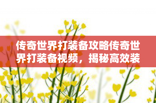 传奇世界打装备攻略传奇世界打装备视频，揭秘高效装备获取策略，揭秘传奇世界高效装备获取策略
