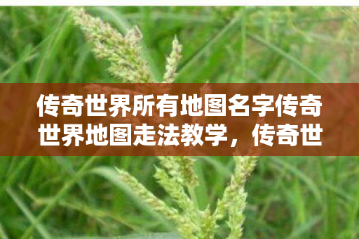 传奇世界所有地图名字传奇世界地图走法教学,传奇世界地图走法全解析 传奇世界所有地图名字传奇世界地图走法教学,传奇世界地图走法全解析