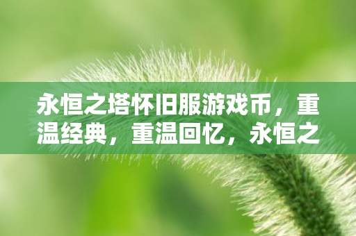 永恒之塔怀旧服游戏币,重温经典,重温回忆,永恒之塔怀旧服,重温经典,找回回忆 永恒之塔怀旧服游戏币,重温经典,重温回忆,永恒之塔怀旧服,重温经典,找回回忆