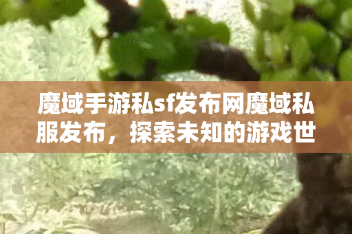 魔域手游私sf发布网魔域私服发布图片