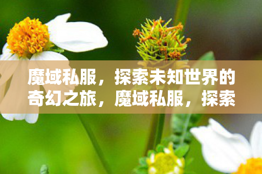 探索未知世界的奇幻之旅图片