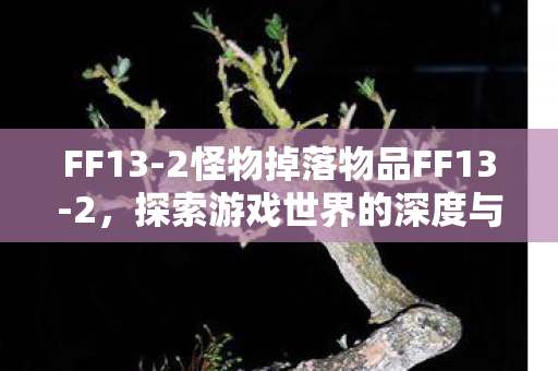 FF13-2怪物掉落物品FF13-2，探索游戏世界的深度与广度，FF13-2，探索游戏世界的深度与广度，揭秘怪物掉落物品