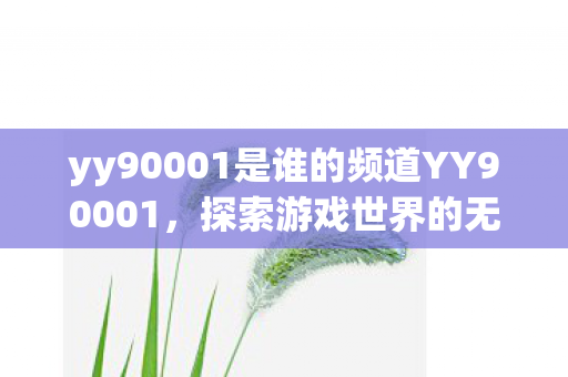 yy90001是谁的频道YY90001，探索游戏世界的无限可能，YY90001，探索游戏世界的无限可能