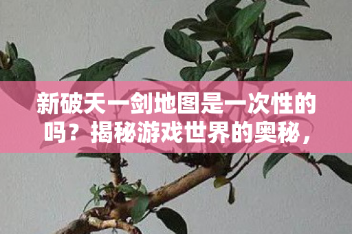 新破天一剑地图是一次性的吗？揭秘游戏世界的奥秘，揭秘，新破天一剑地图是否是一次性的？
