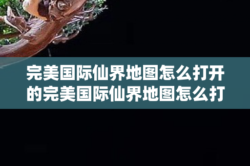 完美国际仙界地图怎么打开的完美国际仙界地图怎么打开，完美国际仙界地图开启攻略