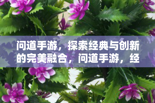 经典与创新完美融合的探索之旅图片