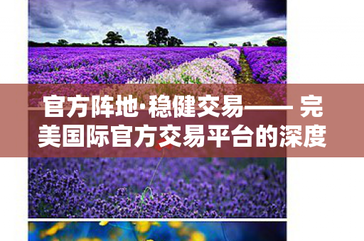 官方阵地·稳健交易—— 完美国际官方交易平台的深度解析，完美国际官方交易平台，稳健交易，官方阵地深度解析