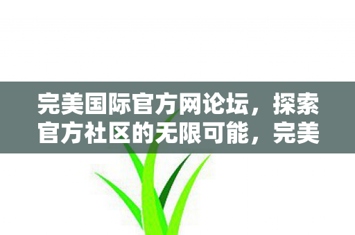 完美国际官方网论坛，探索官方社区的无限可能，完美国际官方网论坛，探索无限可能的官方社区