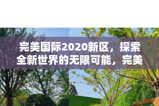 完美国际2020新区，探索全新世界的无限可能，完美国际2020新区，探索全新世界的无限可能