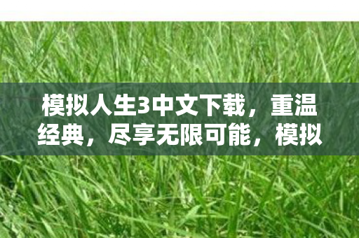模拟人生3中文下载，重温经典，尽享无限可能，模拟人生3中文下载，重温经典，开启无限可能