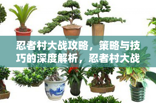 忍者村大战攻略,策略与技巧的深度解析,忍者村大战,策略与技巧的深度解析 忍者村大战攻略,策略与技巧的深度解析,忍者村大战,策略与技巧的深度解析