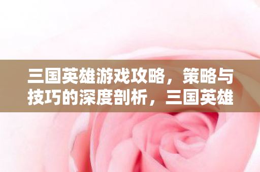 三国英雄游戏攻略，策略与技巧的深度剖析，三国英雄游戏全攻略，策略与技巧的深度剖析