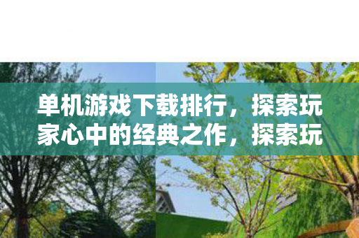单机游戏下载排行，探索玩家心中的经典之作，探索玩家心中的经典，单机游戏下载排行