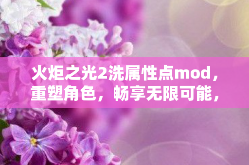 火炬之光2洗属性点mod，重塑角色，畅享无限可能，重塑角色，畅享无限可能，火炬之光2洗属性点mod