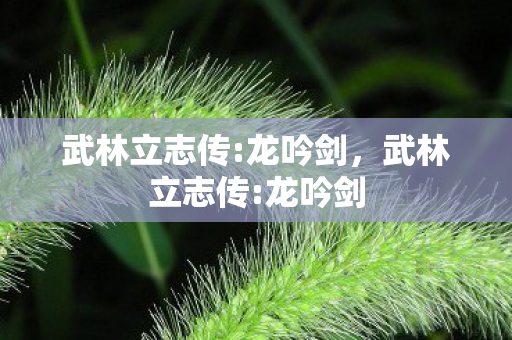 武林立志传:龙吟剑,武林立志传:龙吟剑 武林立志传:龙吟剑,武林立志传:龙吟剑